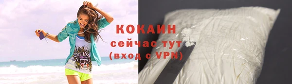 твердый Арсеньев