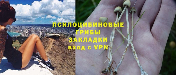 дмт Балахна