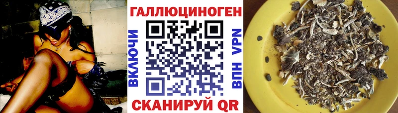 OMG ONION  Сретенск  Галлюциногенные грибы прущие грибы 